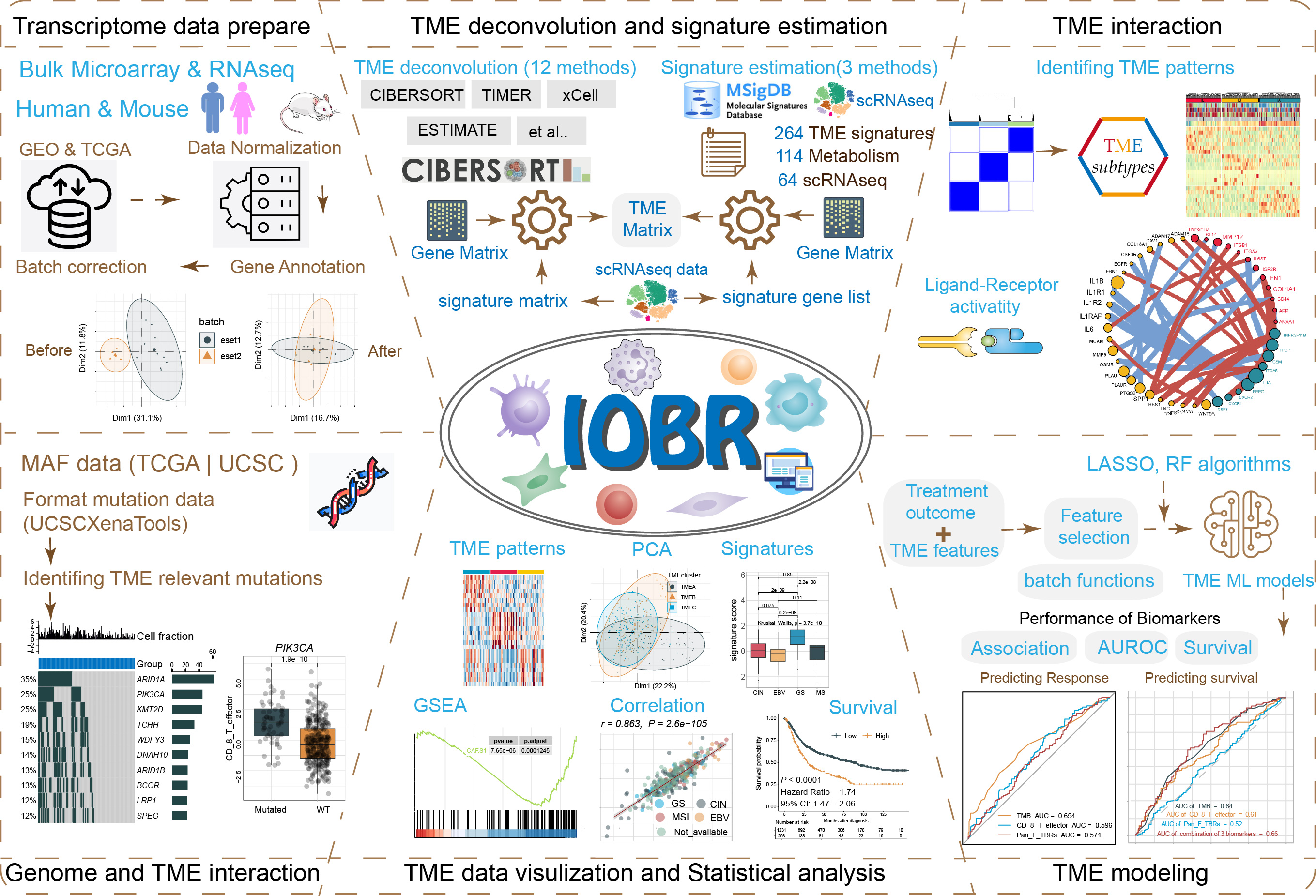 Diagram of Workflow
