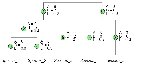 A phylogenetic tree