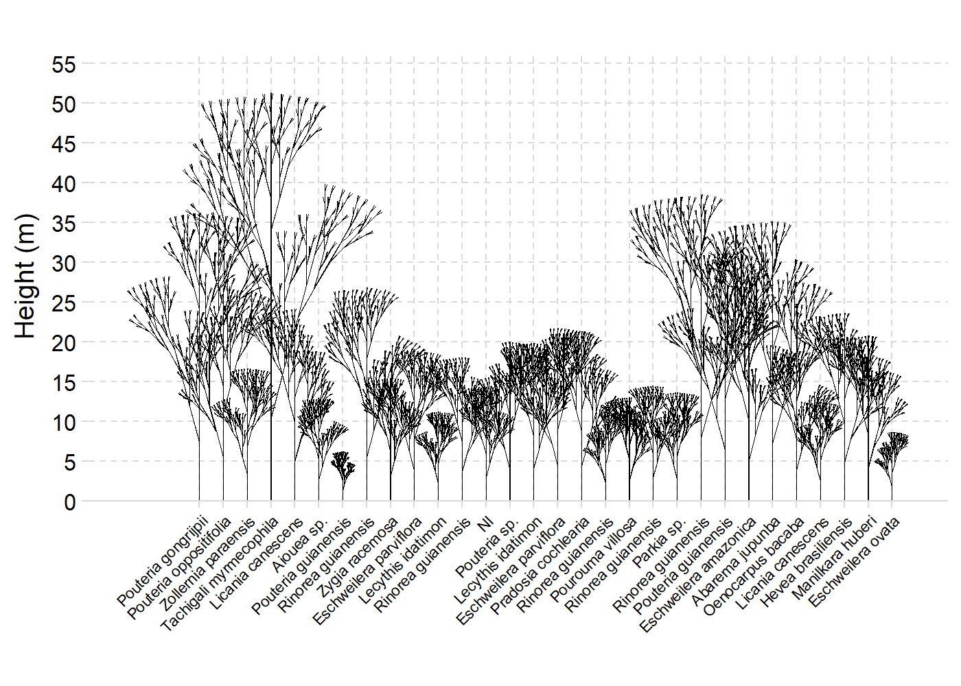 Fractal based rendering of trees