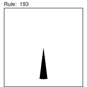 Animation of Wolfram rule 193