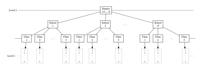 Schematic of mutilevel, nested model